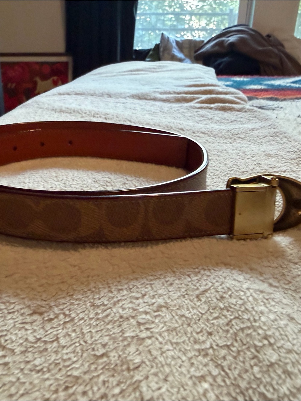 Coach Signature Canvas Belt with Gold-Tone Buckle